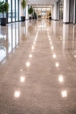 Avatar for Olsen Restoration Carpet Cleaning Services