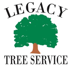 Avatar for The Wilson Legacy, LLC