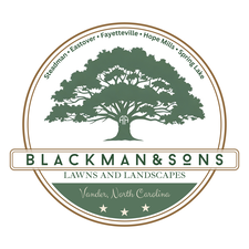 Avatar for Blackman & Sons Lawns and Landscapes