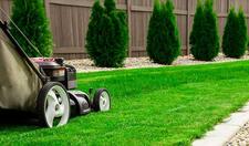 Avatar for Lorenzo Landscaping