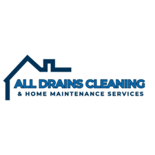 Avatar for All Drains Cleaning