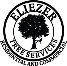 Avatar for Eliezer Tree Services