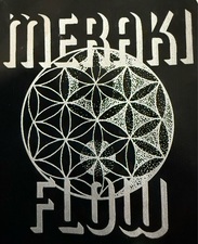 Avatar for Meraki Flow LLC