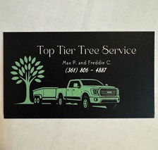 Avatar for Top-Tier Tree Service