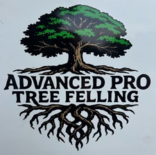 Logo for Advanced Pro Tree Felling, LLC