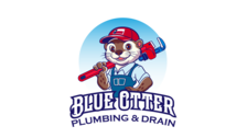 Avatar for Blue Otter Plumbing & Drain