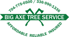Avatar for Big Axe Tree Service LLC