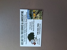 Avatar for Abelino Tzul Tree Service