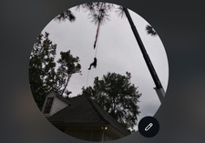 Avatar for Trees Of Us