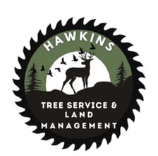 Avatar for Hawkins Tree Service & Land Management, LLC