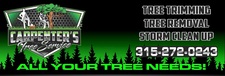 Avatar for Carpenters tree service