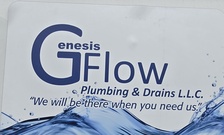 Avatar for Genesis Flow Plumbing & Drains