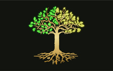 Avatar for JPS TREE SERVICES LLC