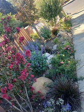 Avatar for Dave's Irrigation Solutions