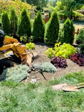 Avatar for F & S Stump Removal and Landscaping