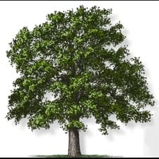 Logo for Post Oak Construction, LLC