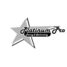 Avatar for Platinum Pro Paving