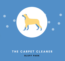 Avatar for The Carpet Cleaner