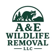 Avatar for A&E Wildlife Removal LLC