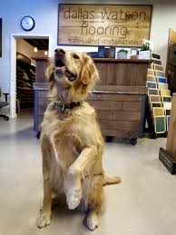 Dallas Watson Flooring logo