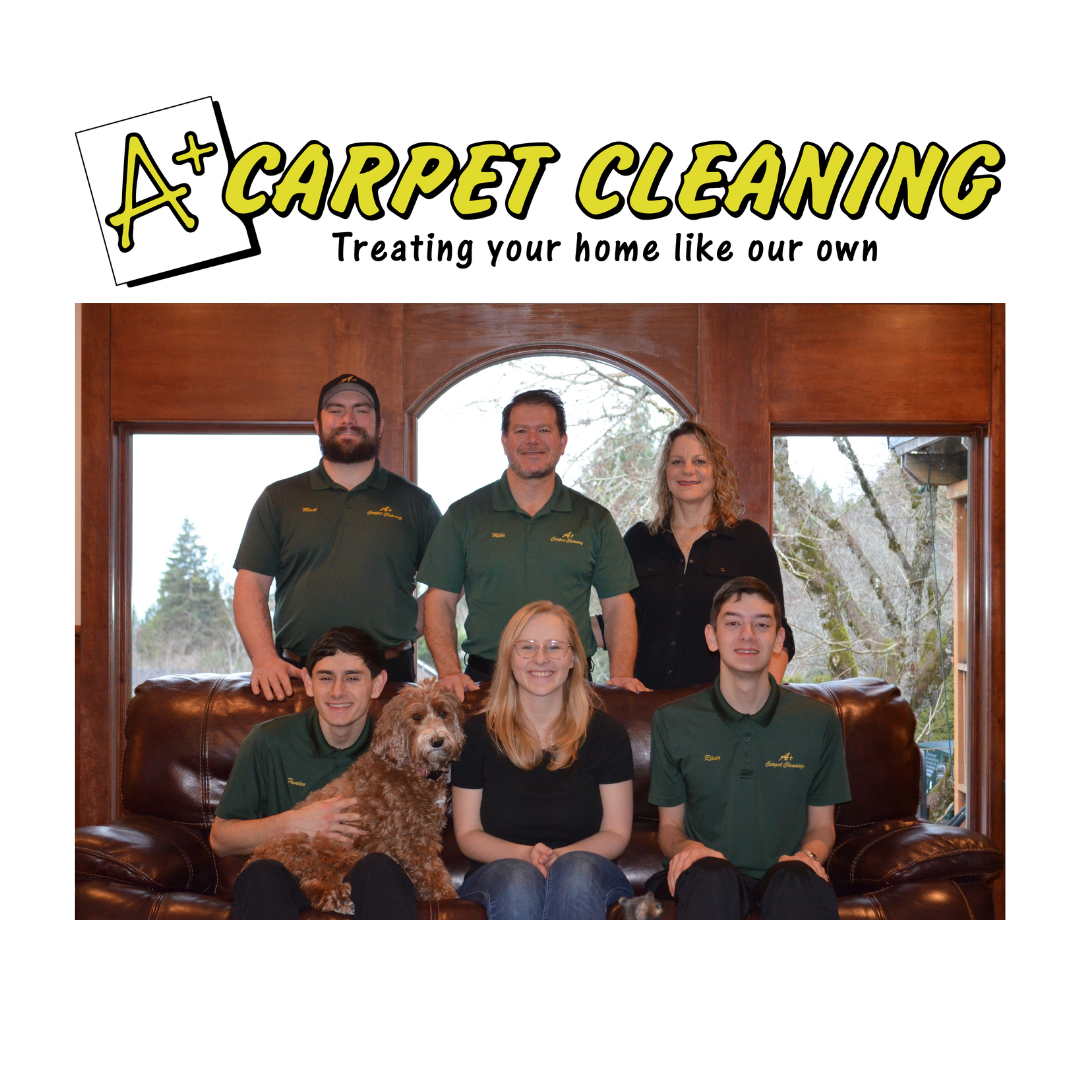 A+ Carpet Cleaning logo