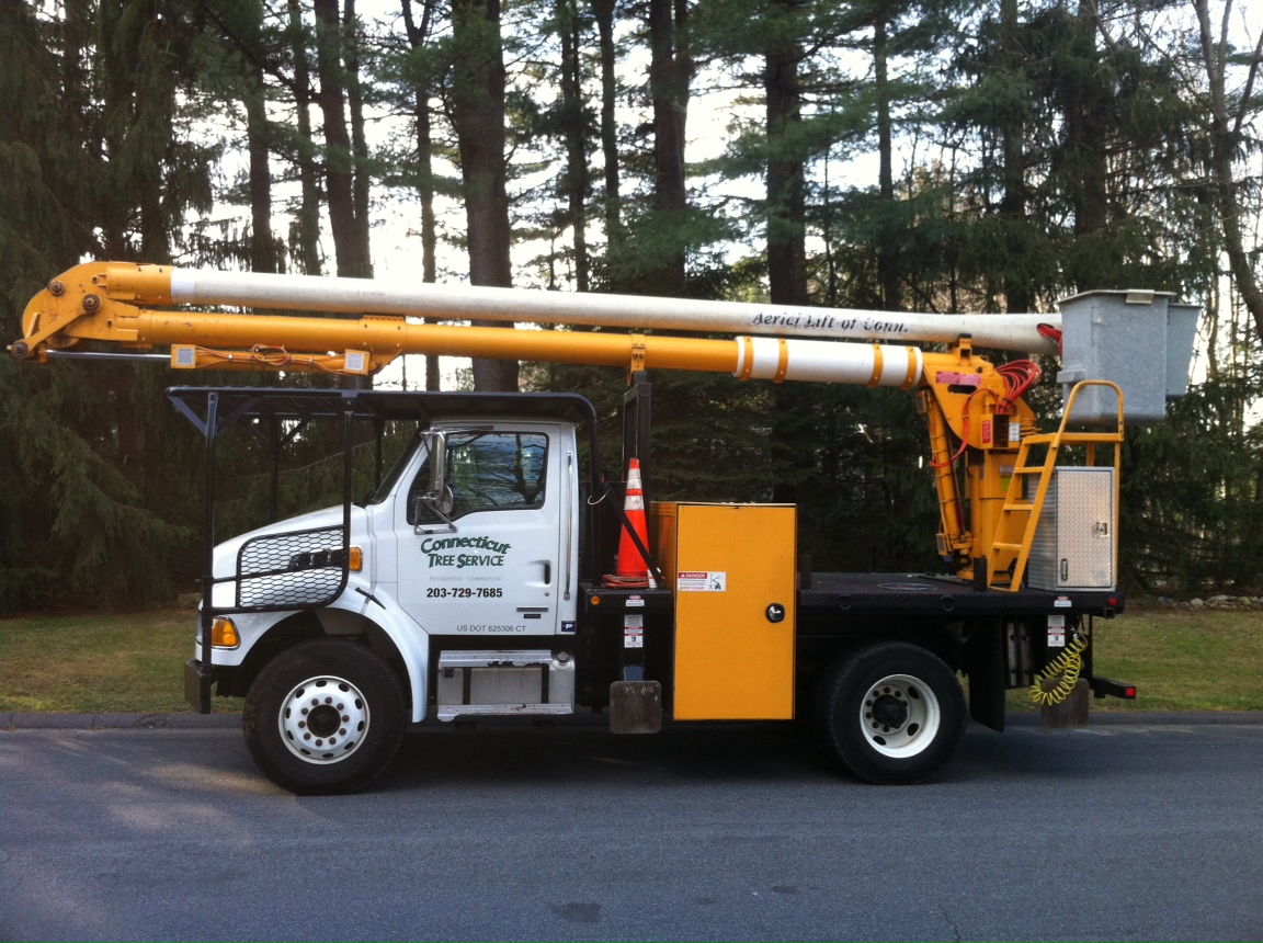 Connecticut Tree Service of Naugatuck, LLC logo