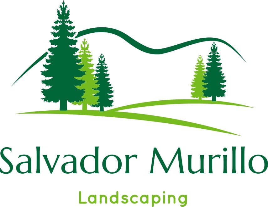Avatar for SALVADOR MURILLO
