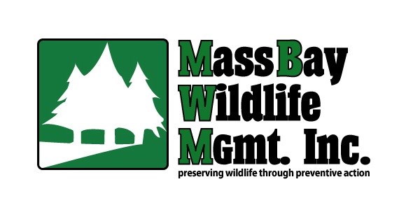 Mass Bay Wildlife Management Inc logo
