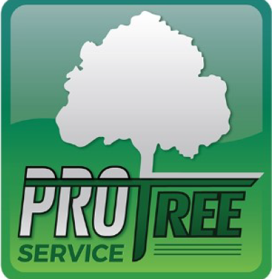 Pro Tree Svc logo