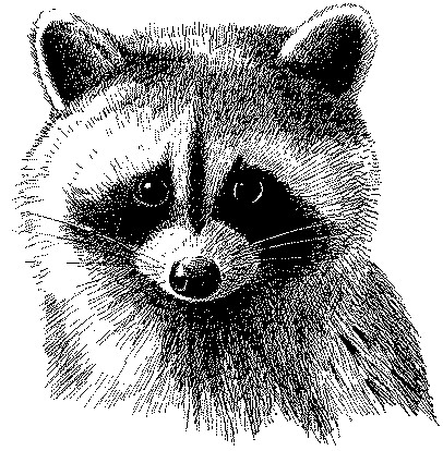 Wildlife Police Inc logo