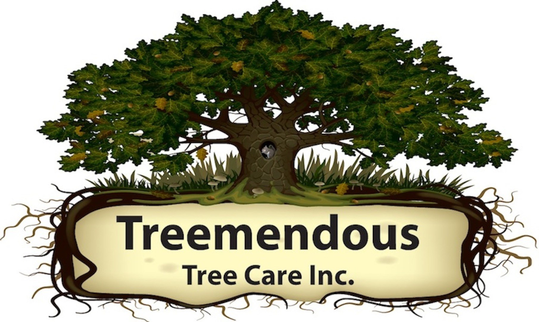 Treemendous Tree Care Inc logo