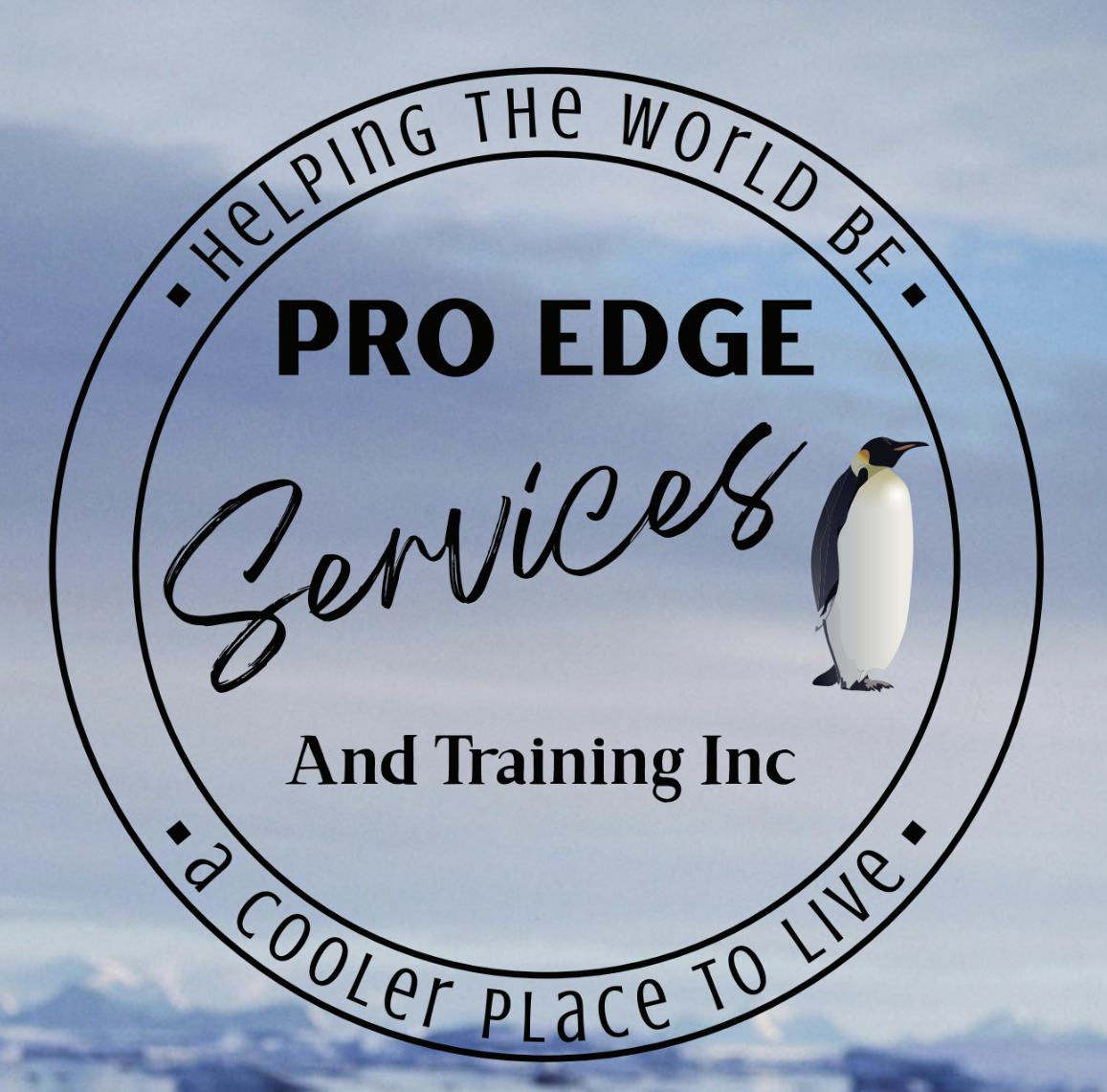 Pro Edge Services and Training Inc logo