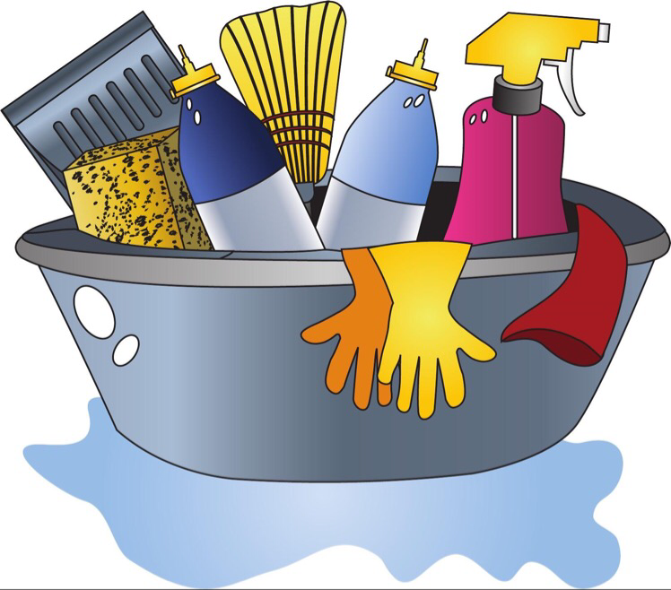 Sena Cleaning Services logo