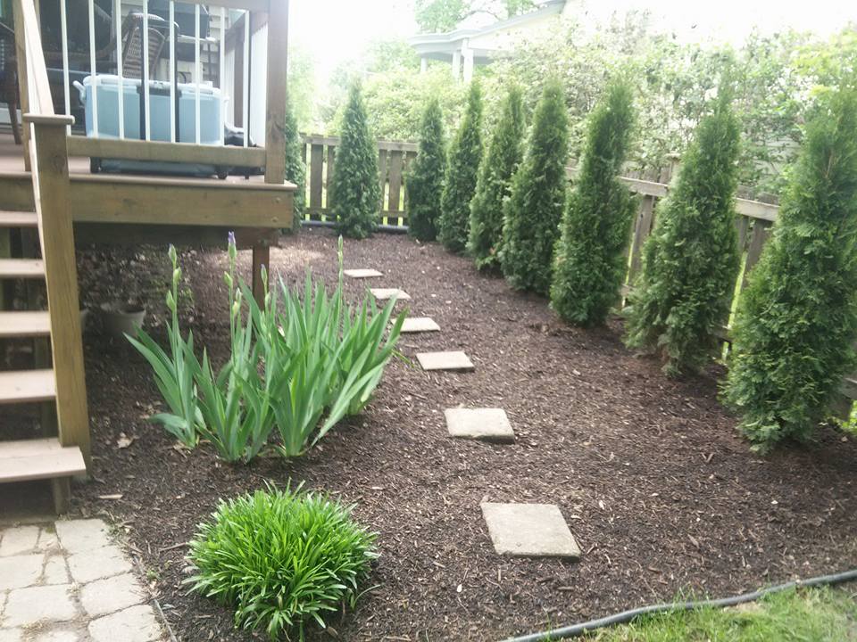 Higher Standards Landscaping logo