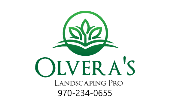 Avatar for Olvera's Landscaping Pro Company