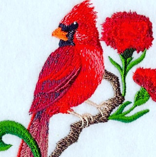 P & R Lawn Maintenance and Snowplowing logo