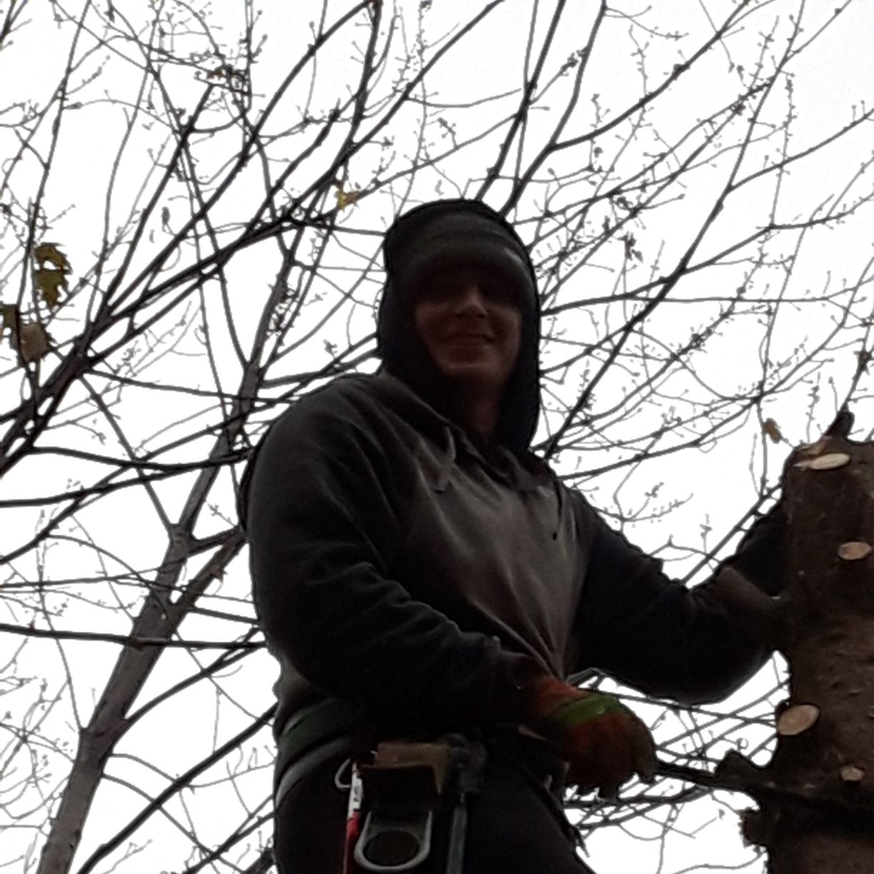Avatar for Jackie Dale's Tree Service