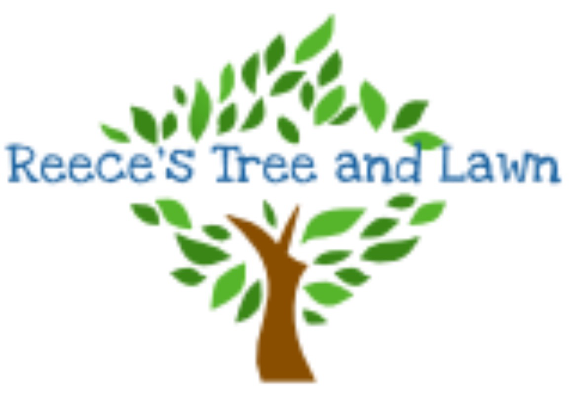 Avatar for Reeces Tree Service