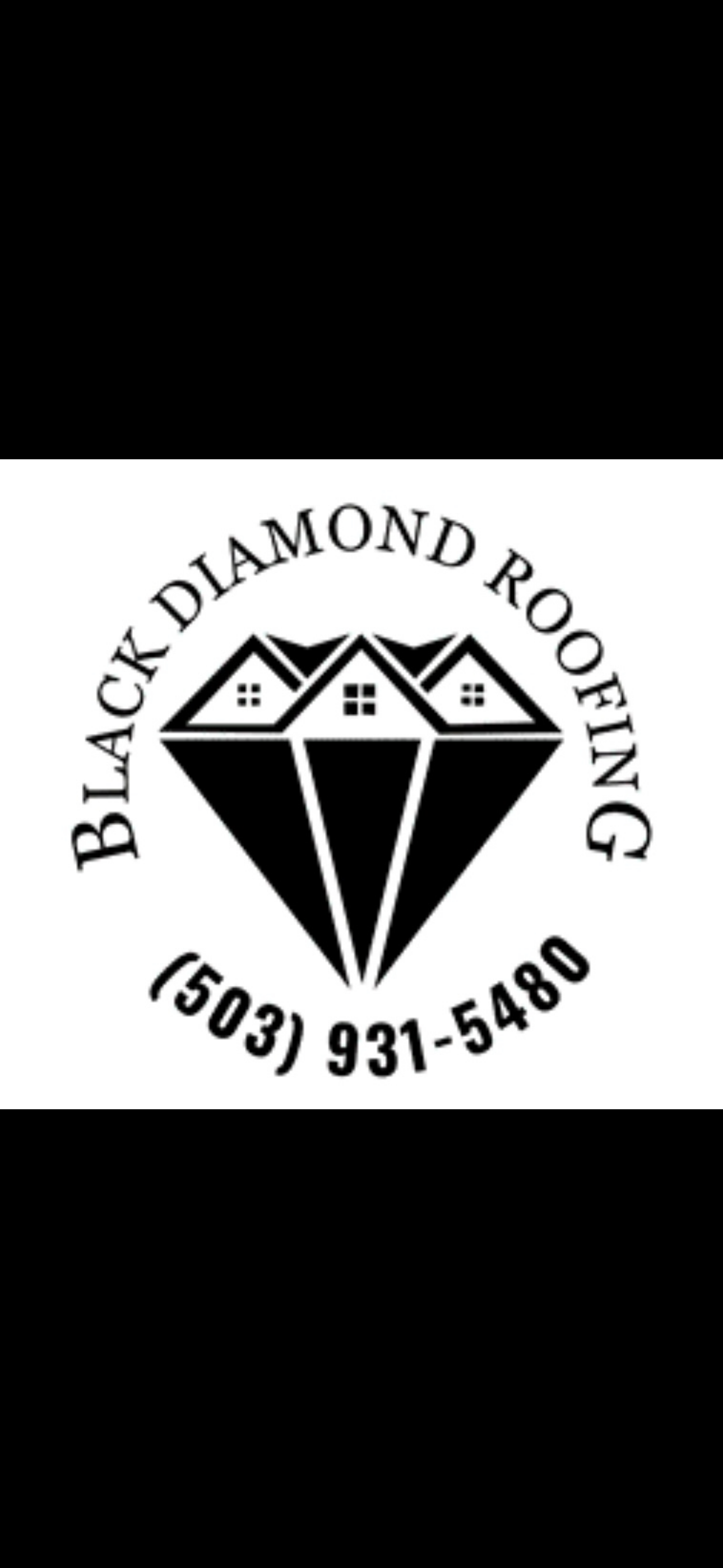 Black Diamond Roofing logo