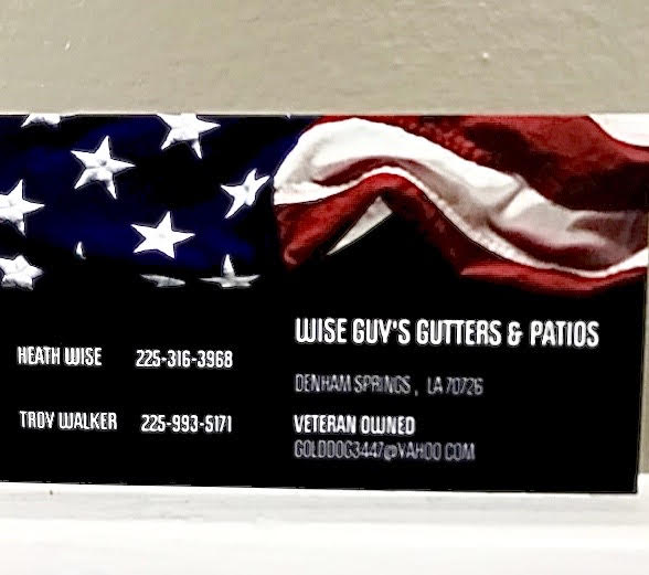 Logo for Wise Guys Gutters and Patios
