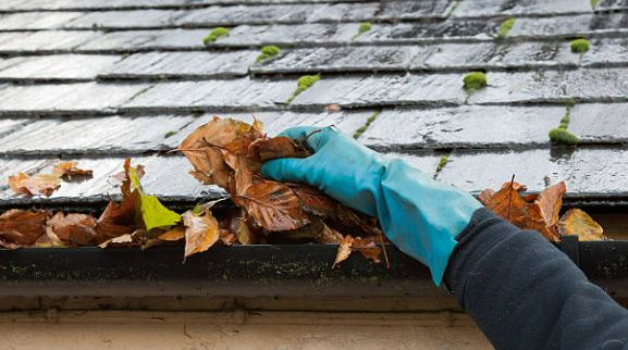 Carlos Rivera Gutter Cleaning & Downspouts logo