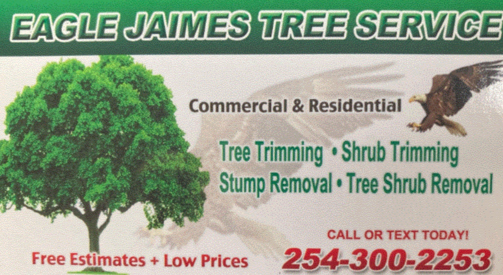 Eagle Jaimes Tree Service logo