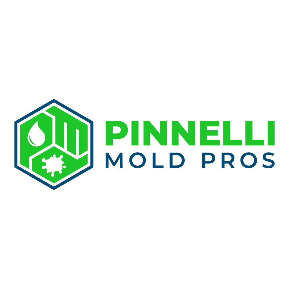 Pinnelli Mold Pros logo