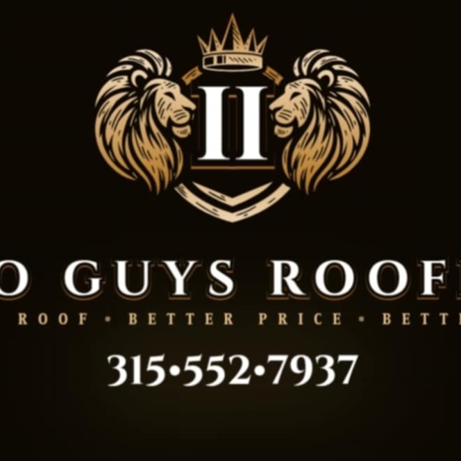 2 Guys Roofing logo