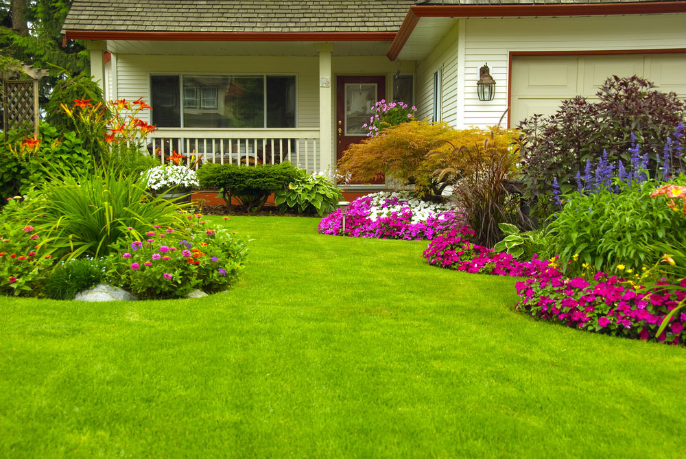 Avatar for Solano Landscaping