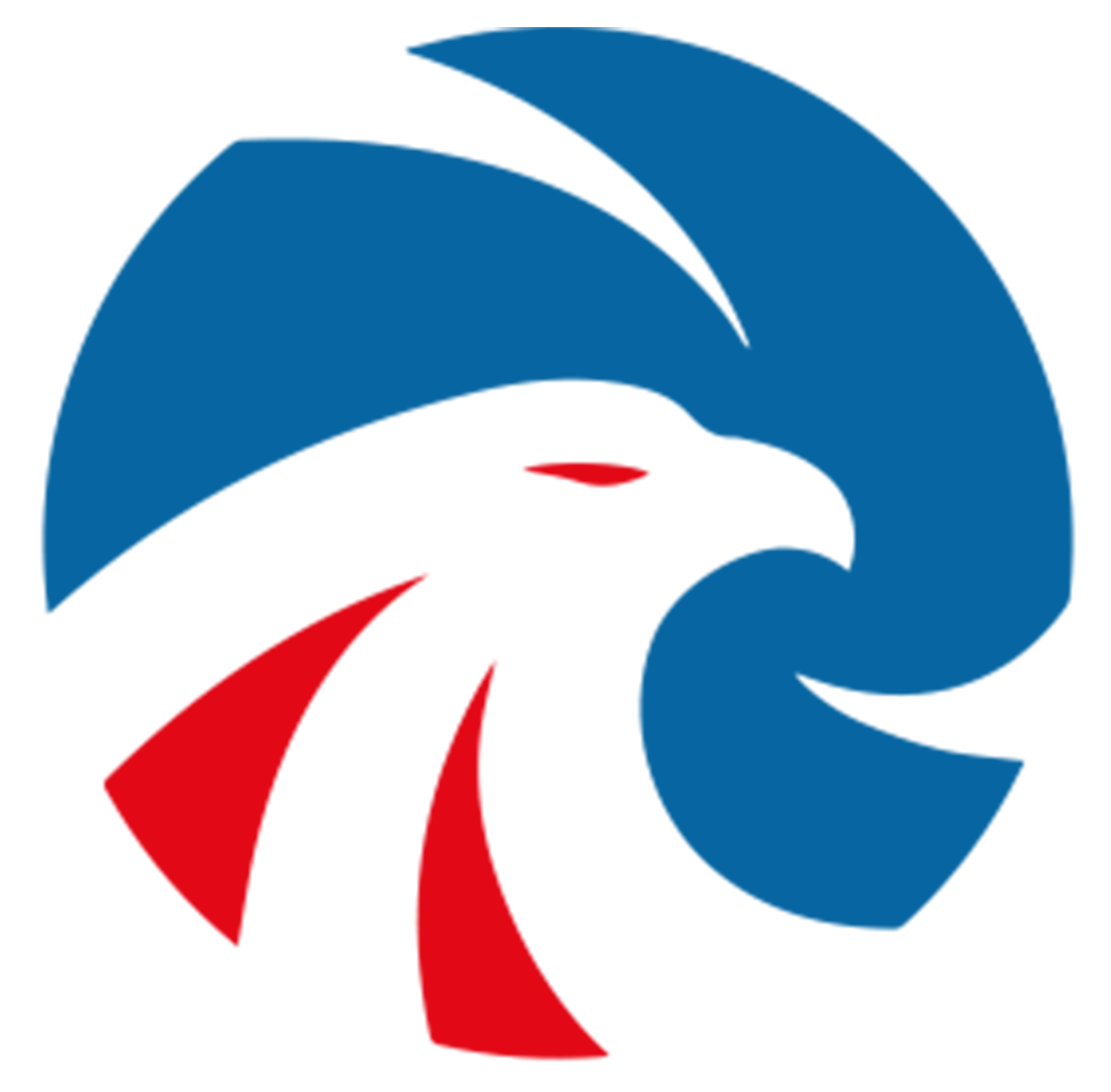 Logo for Falcon Epoxy Floors