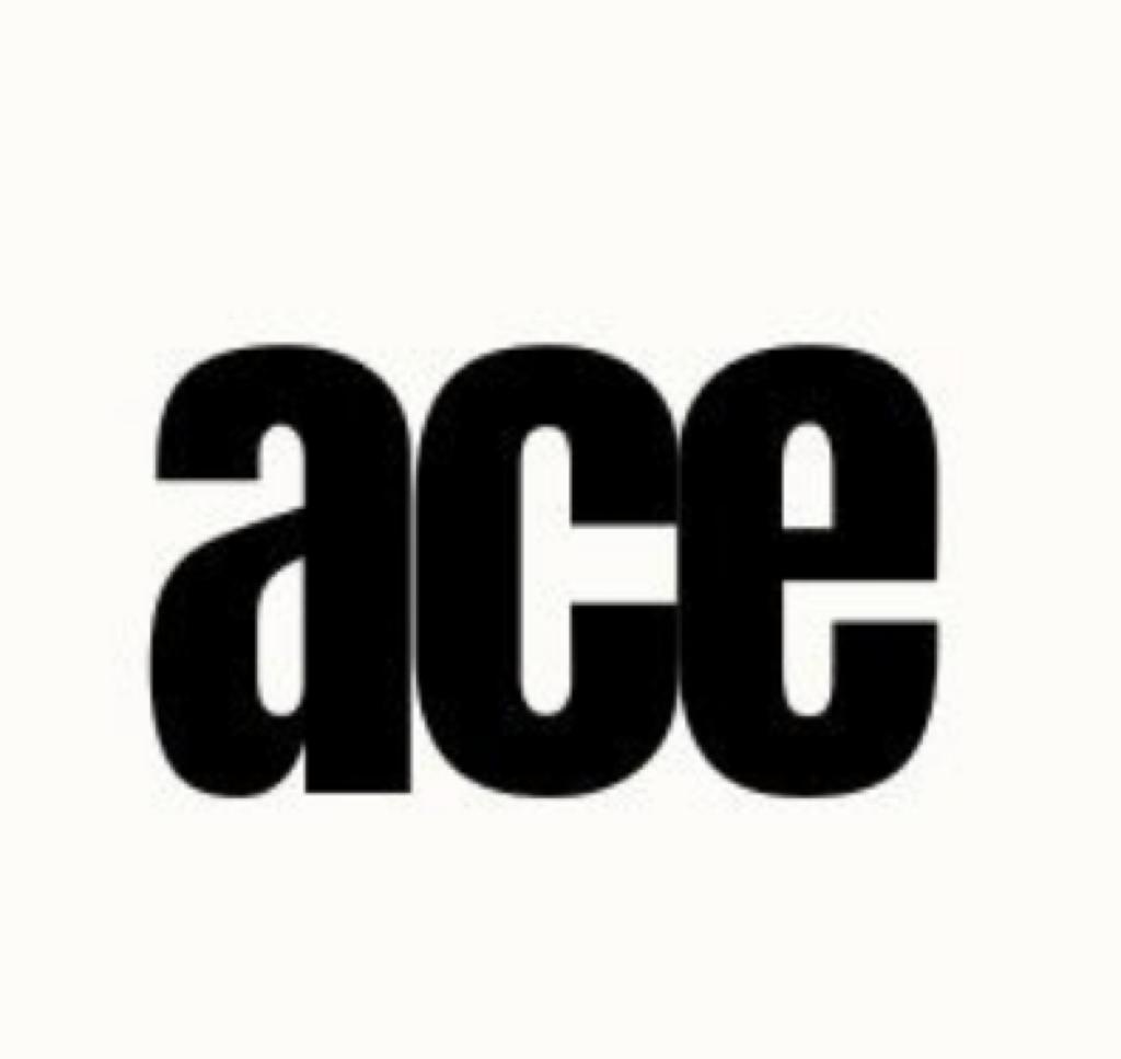 Logo for Ace Remodeling TX