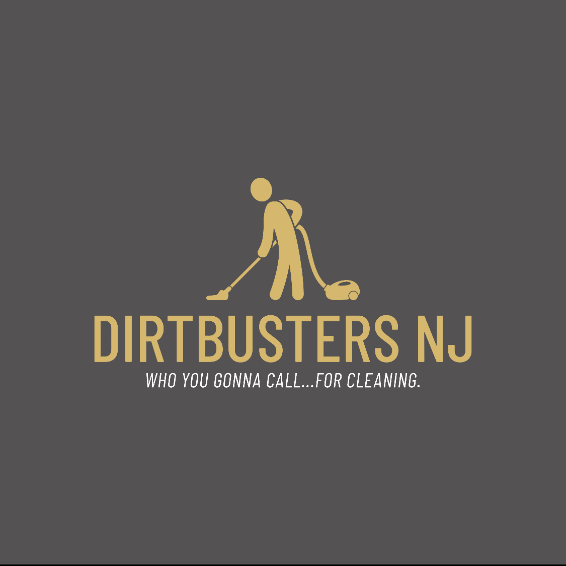Logo for Dirtbusters NJ