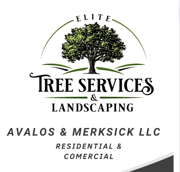 Avalos & Merksick LLC logo