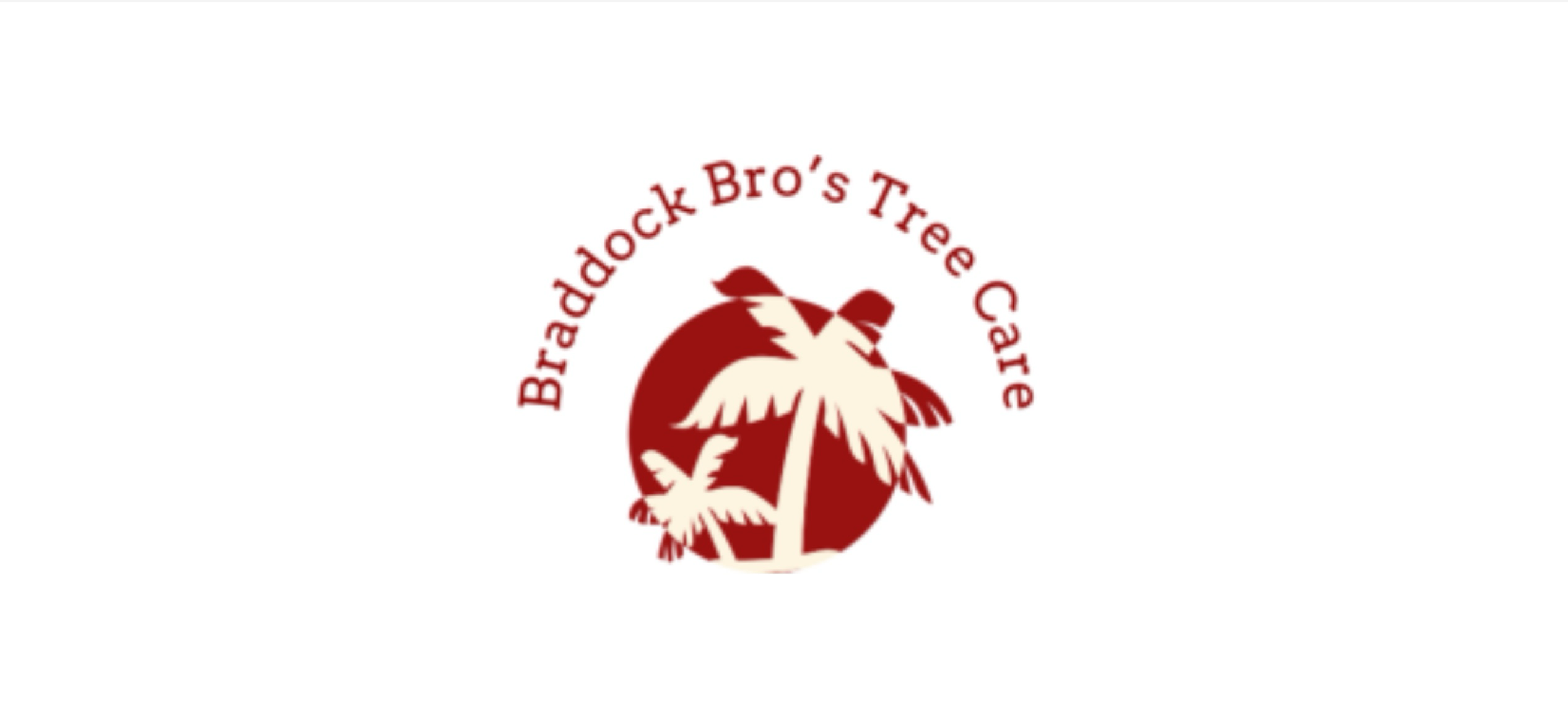 Braddock Bros Tree Care logo